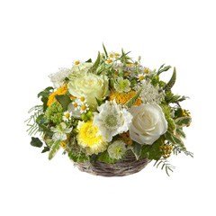 צמיחה מרובה